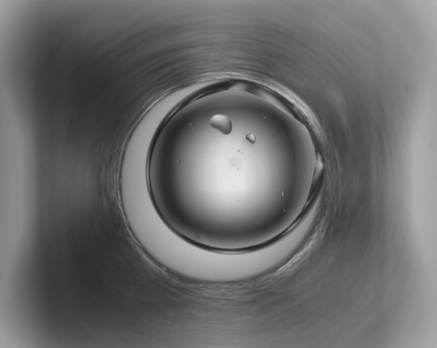 X0000102300809200807251434