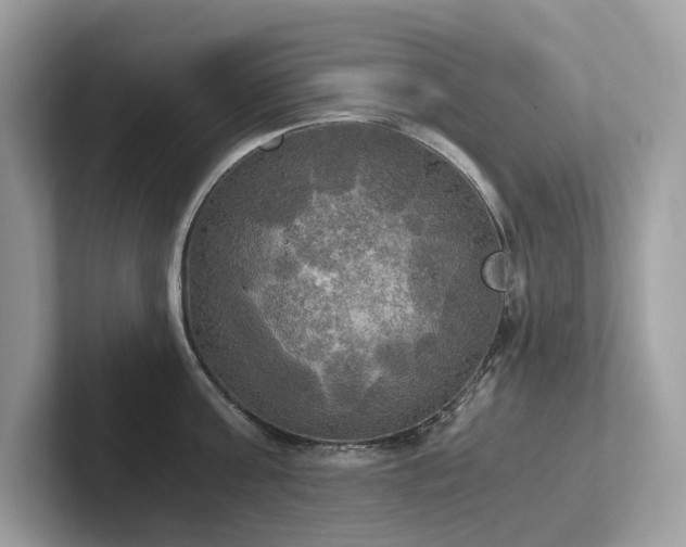X0000102300811200807251434