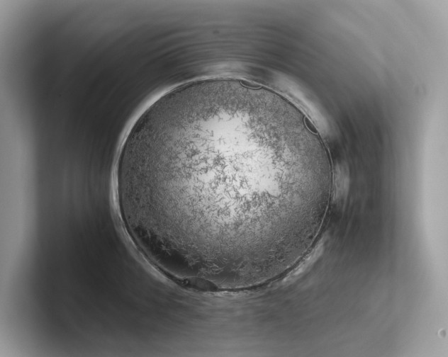 X0000102300812200807251434