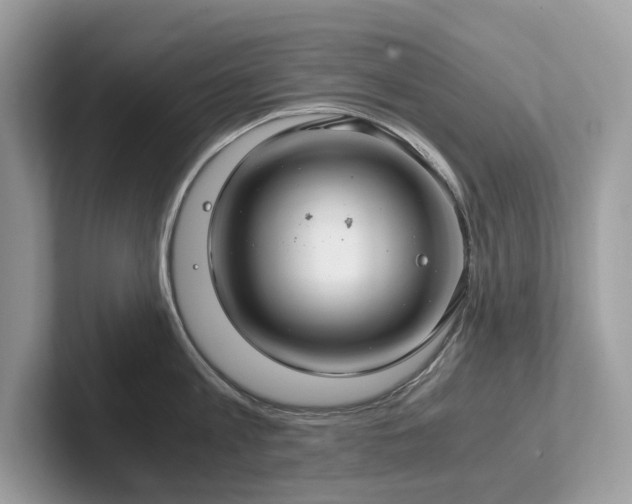 X0000102300813200807251434