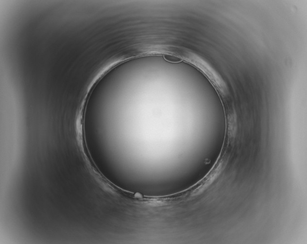 X0000102300814200807251434
