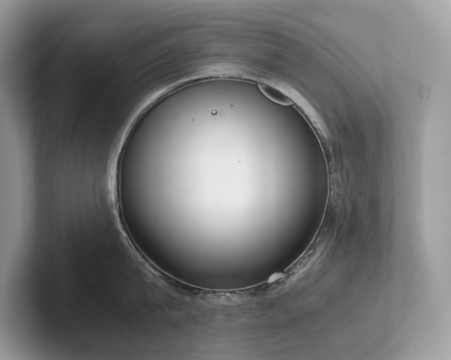 X0000102300815200807251434