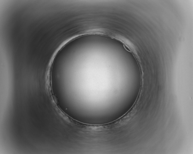 X0000102300816200807251434