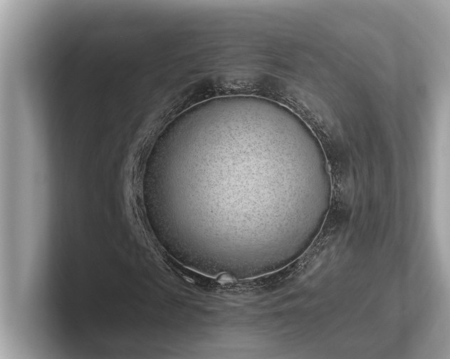 X0000102300817200807251433