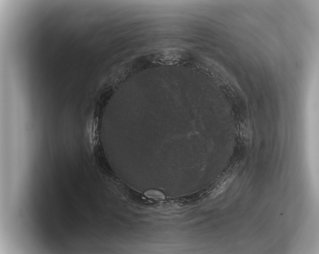 X0000102300818200807251433
