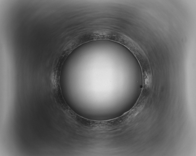 X0000102300819200807251433