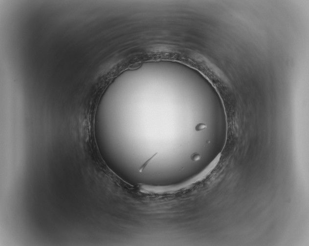 X0000102300821200807251433