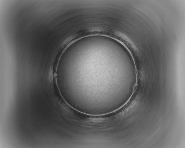 X0000102300825200807251433
