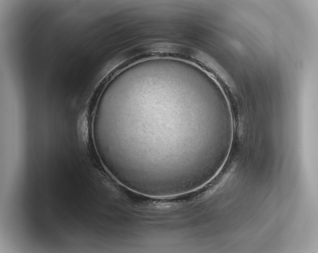 X0000102300829200807251433