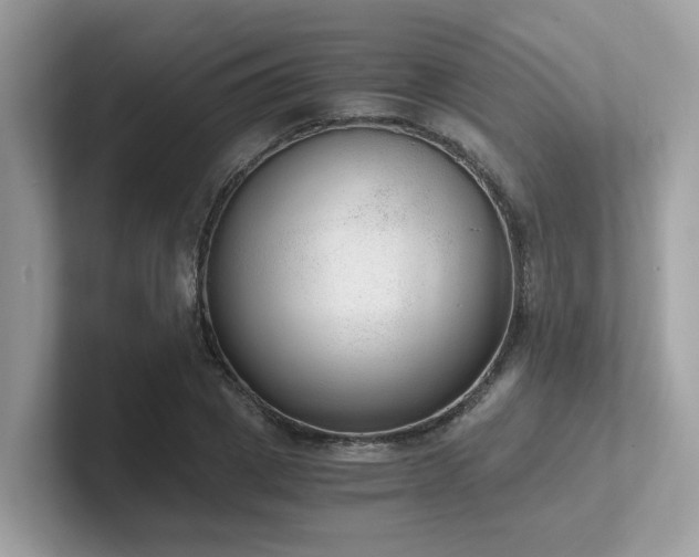 X0000102300833200807251433