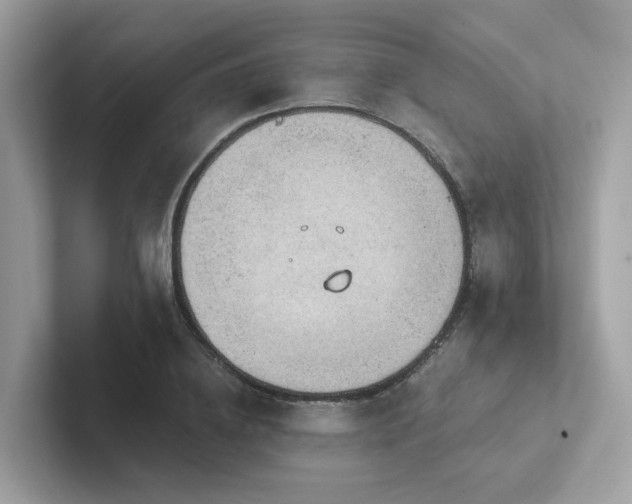 X0000102300836200807251433