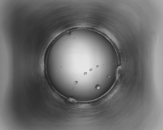 X0000102300837200807251433