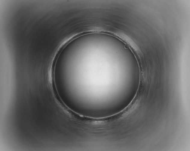 X0000102300839200807251433