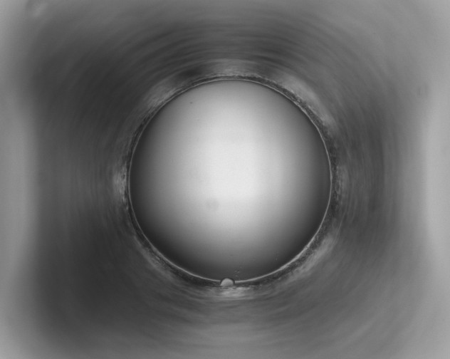 X0000102300841200807251433