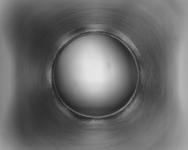 X0000102300842200807251433