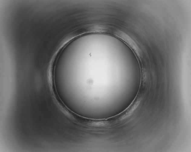 X0000102300843200807251433