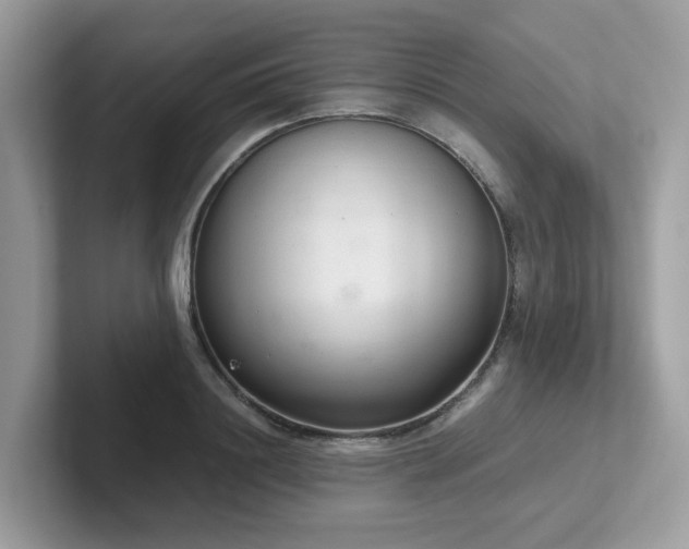 X0000102300844200807251433