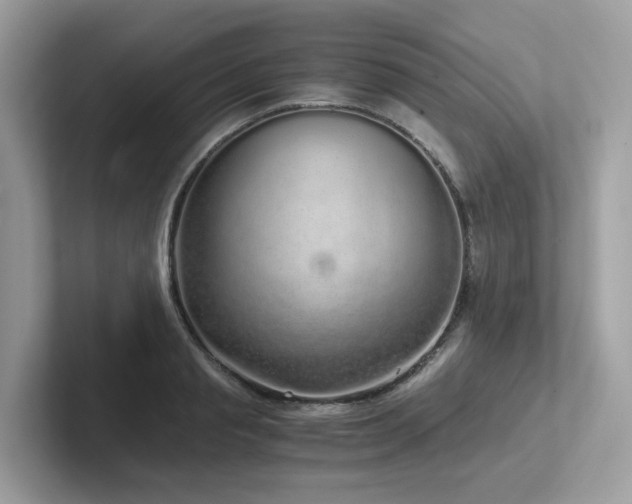 X0000102300845200807251433