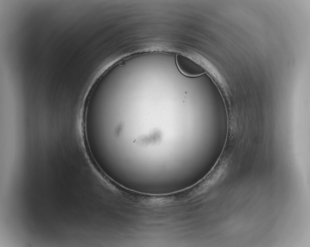 X0000102300847200807251433