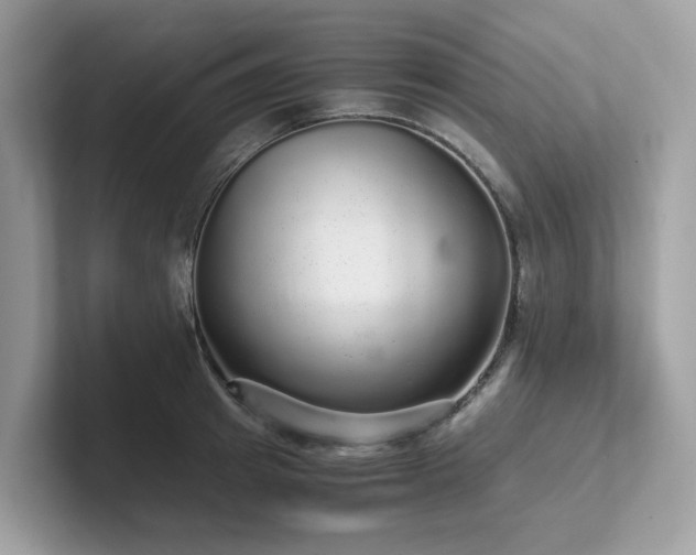 X0000102300849200807251433