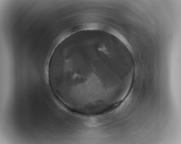 X0000102300850200807251433