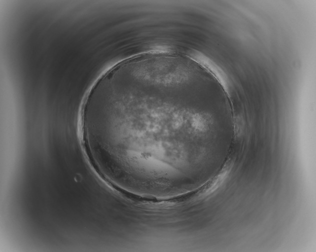 X0000102300851200807251433