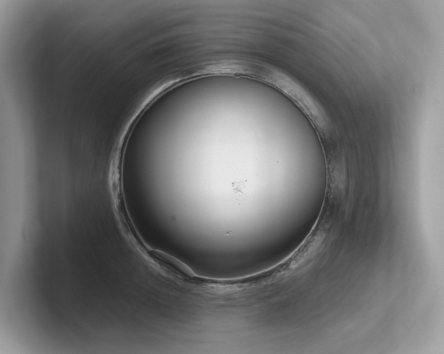 X0000102300852200807251433