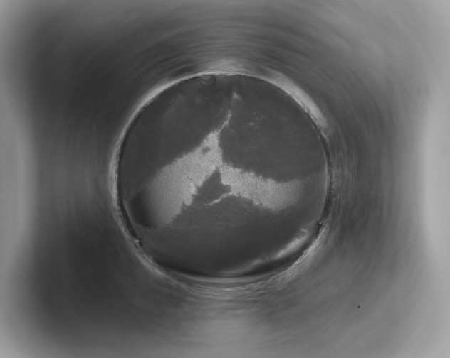 X0000102300854200807251433
