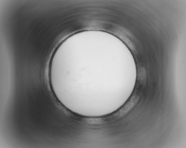 X0000102300856200807251433