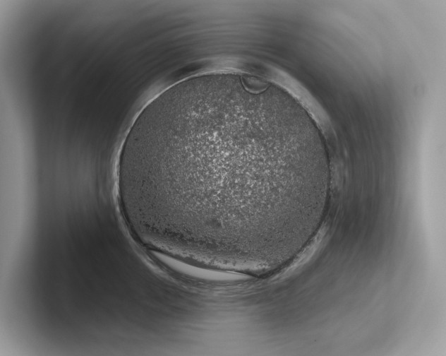 X0000102300858200807251433