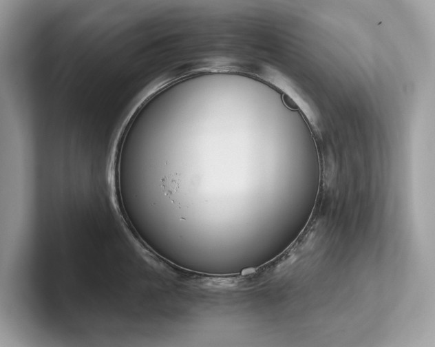 X0000102300861200807251434