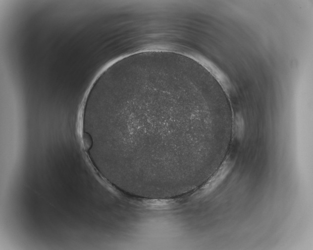 X0000102300862200807251434