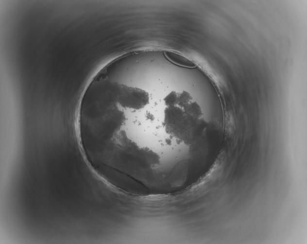 X0000102300863200807251434