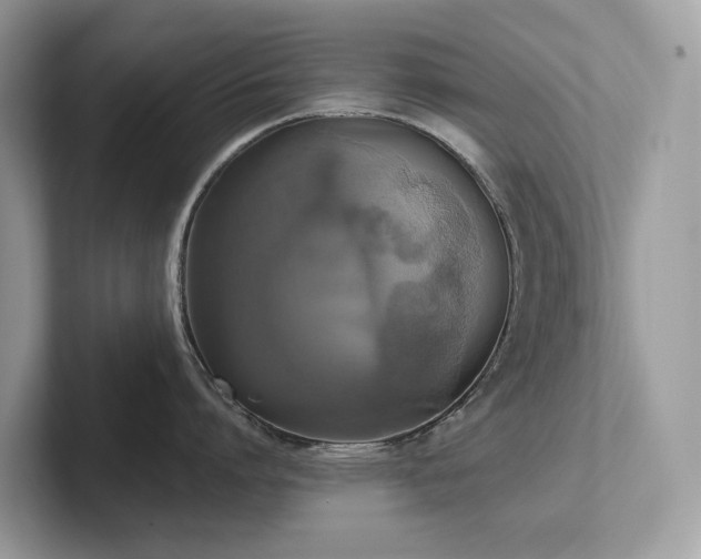 X0000102300864200807251434