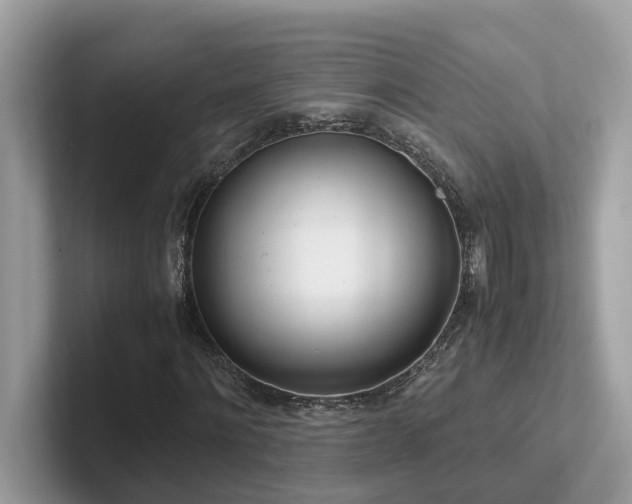 X0000102300868200807251433