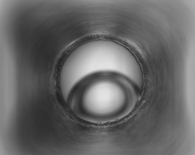 X0000102300872200807251433