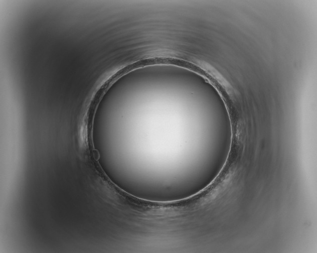 X0000102300877200807251433