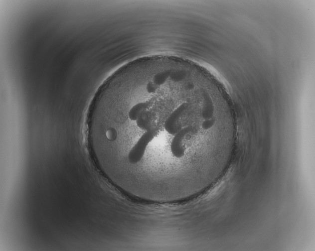 X0000102300879200807251433