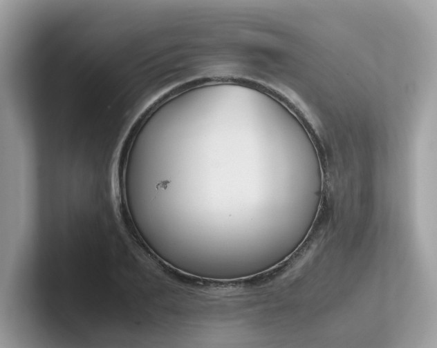 X0000102300887200807251433