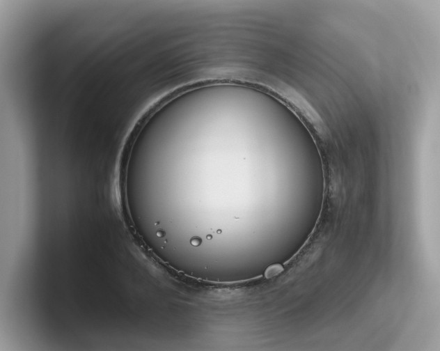 X0000102300888200807251433