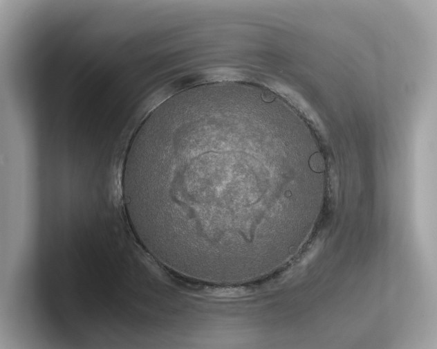 X0000102300889200807251433