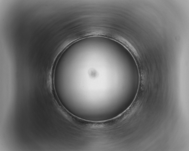 X0000102300890200807251433