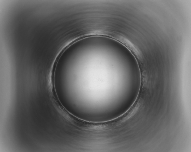X0000102300892200807251433
