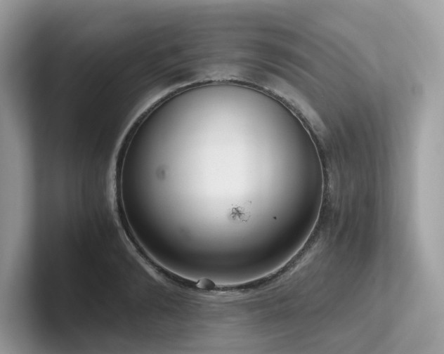 X0000102300894200807251433