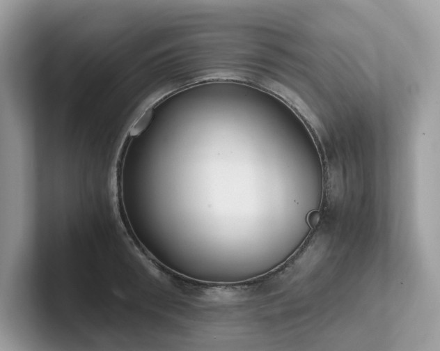 X0000102300898200807251432