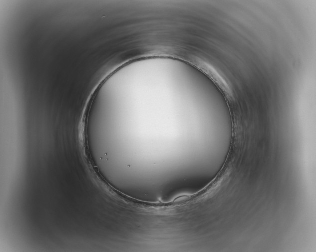 X0000102300900200807251432