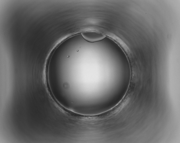 X0000102300902200807251432