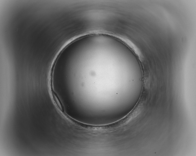 X0000102300903200807251432