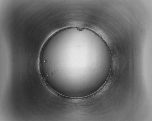 X0000102300904200807251432