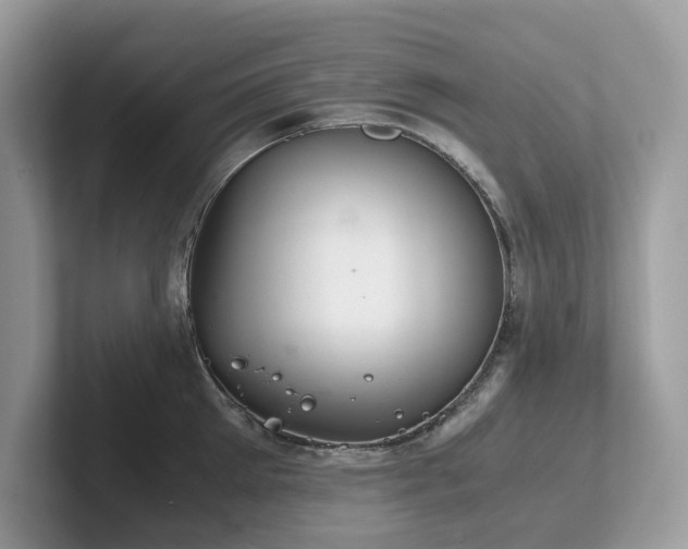 X0000102300905200807251432